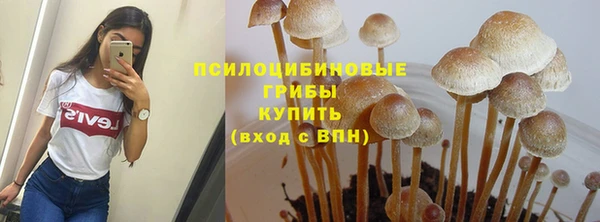 бутират Кодинск