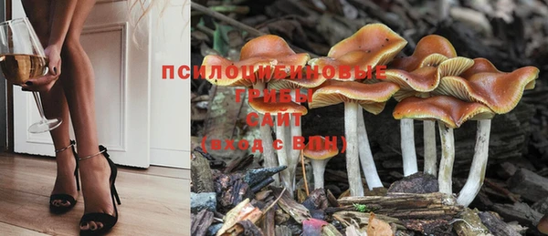 мет Коряжма