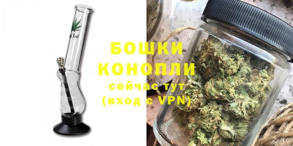 прущие крисы Козловка