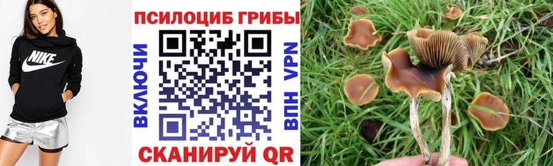 Купить  Оханск  Псилоцибиновые грибы GOLDEN TEACHER 